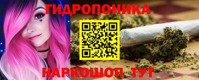 сатива Ставрополь