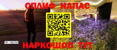 сатива Ставрополь