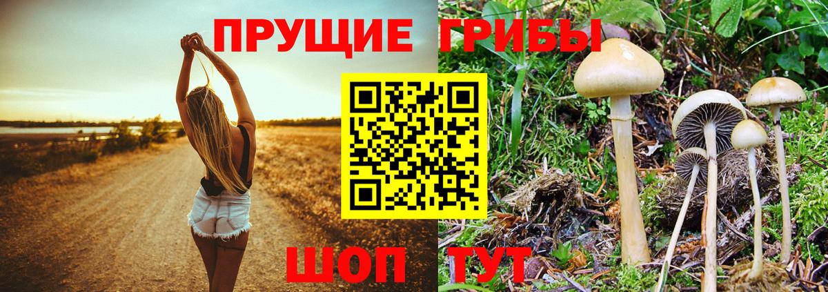 Псилоцибиновые грибы Magic Shrooms  Вход с VPN  Махачкала 