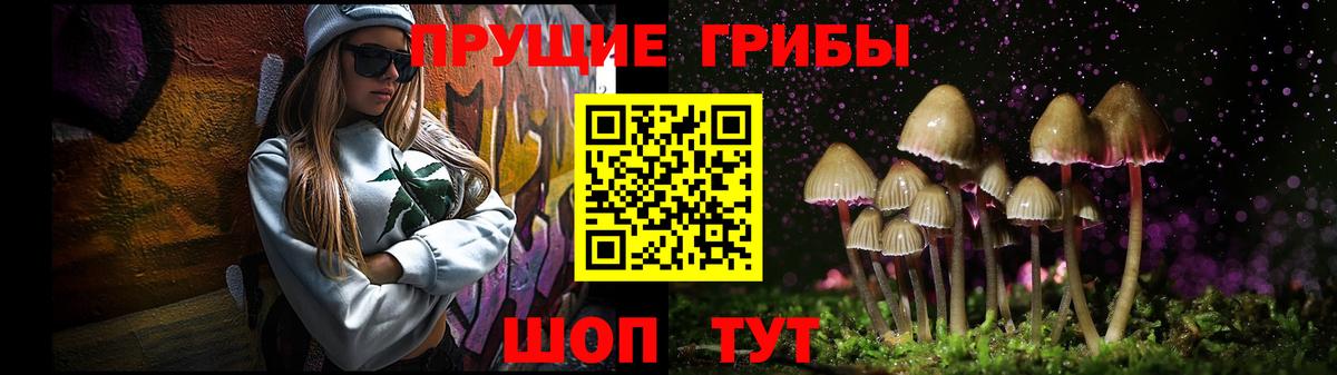 Галлюциногенные грибы Magic Shrooms Махачкала